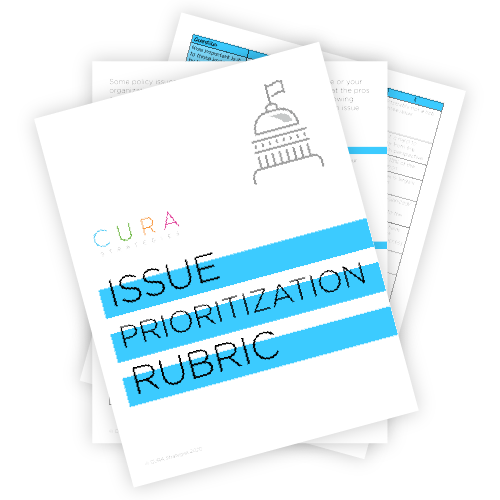 Issue prioritization rubric